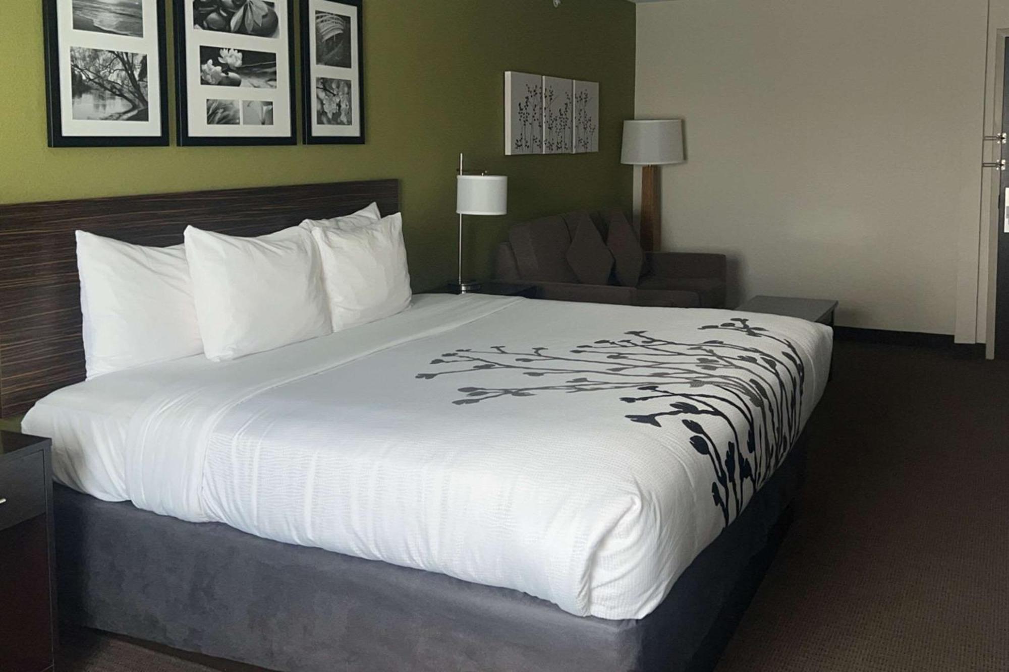 Sleep Inn & Suites Jourdanton - Pleasanton Экстерьер фото